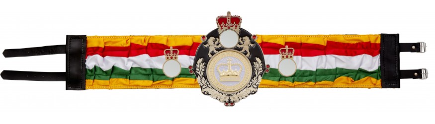 QUEENSBURY WHITE CHAMPION CROWN SILK CHAMPIONSHIP BELT - QUEEN/B/WHTGEM/SILK - AVAILABLE IN 6 COLOURS